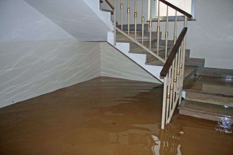 Flooded Basement