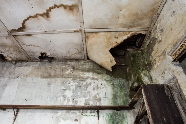 Water Damage Service in Gilbert