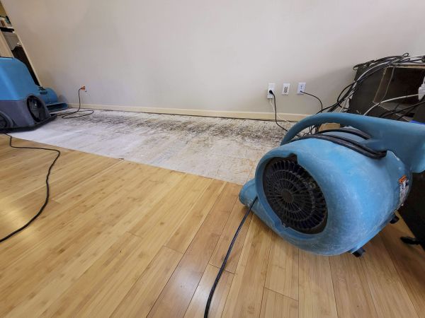 Water Damage Mitigation in Gilbert
