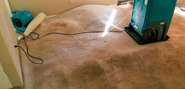 Flood Damage Cleanup in Gilbert