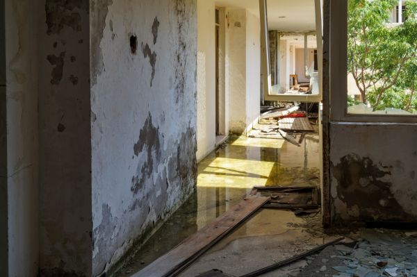 Water Removal Service in Gilbert