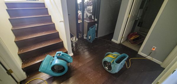 Water Damage Remediation in Gilbert