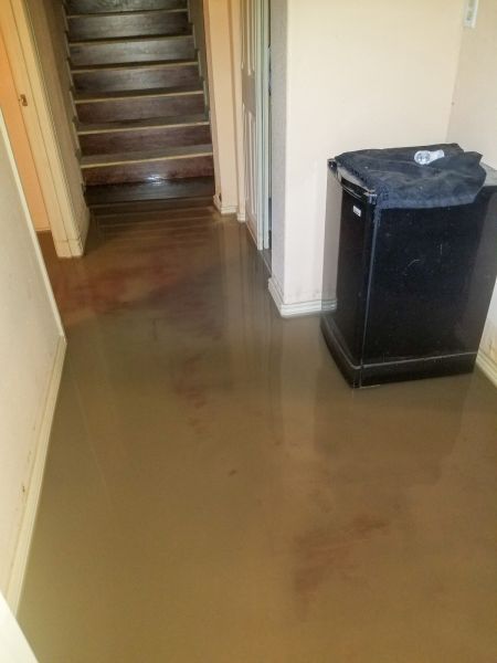 Emergency Water Removal in Gilbert