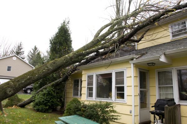Hurricane Damage Repair in Gilbert